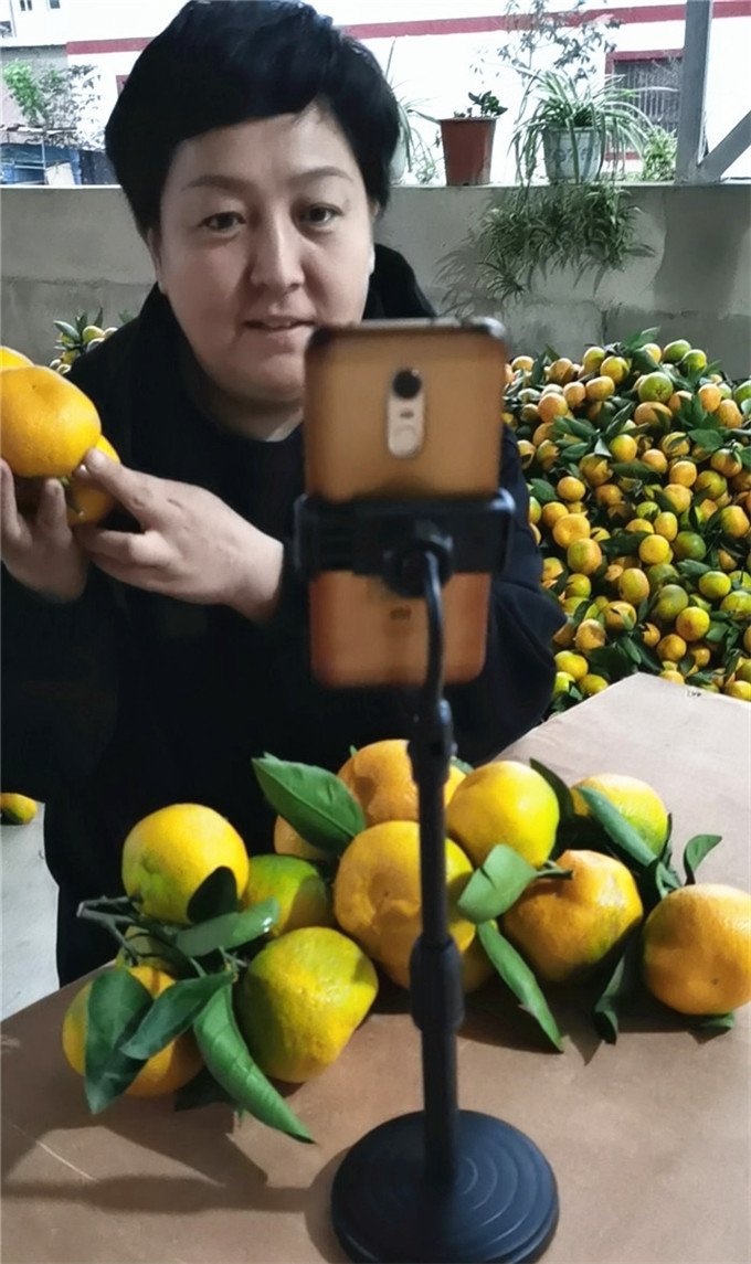 马丽昀在网络直播卖柑橘。.jpg