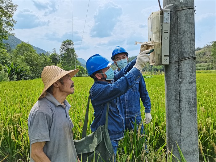 工作人员深入地势平坦的桃园等村优质水稻生产示范基地，详细检查农排线路.jpg