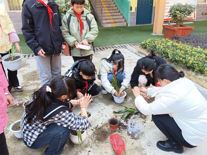 分工协作种植花苗2.jpg