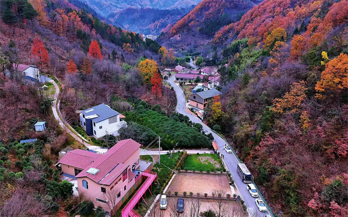 银厂沟村、岳坝村成功创建为陕西省乡村旅游示范村，图为银厂沟村一角。 田刚 摄.jpg