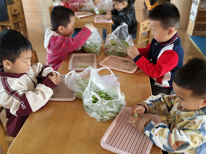 图片3.jpg 图片3.jpg