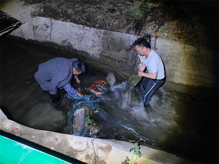 罗刚清除渠道内杂物为秧田引水.jpg 罗刚清除渠道内杂物为秧田引水.jpg