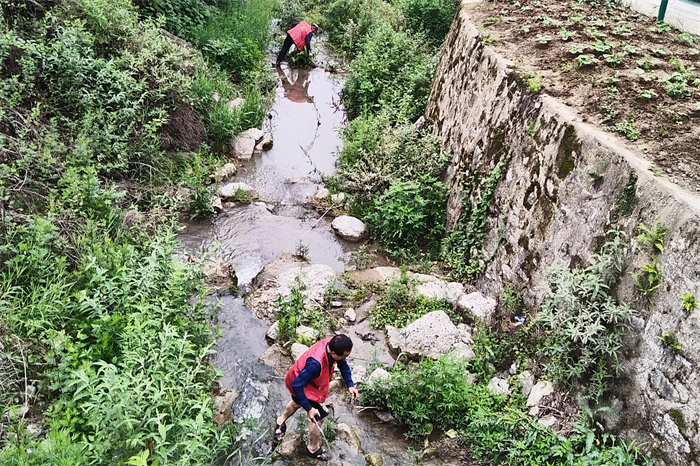 河道清理.jpg 河道清理.jpg